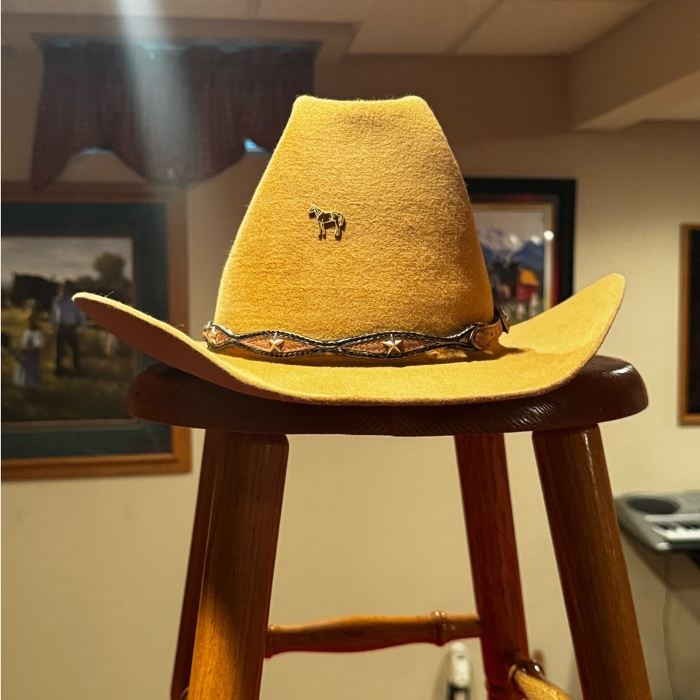 Stetson Tan Western Hat with Wide Brim
